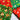Christmas Mix Fat Quarter Bundle Poly Cotton