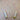 Funfetti Pastel Confetti on a Peach Background 100% Cotton
