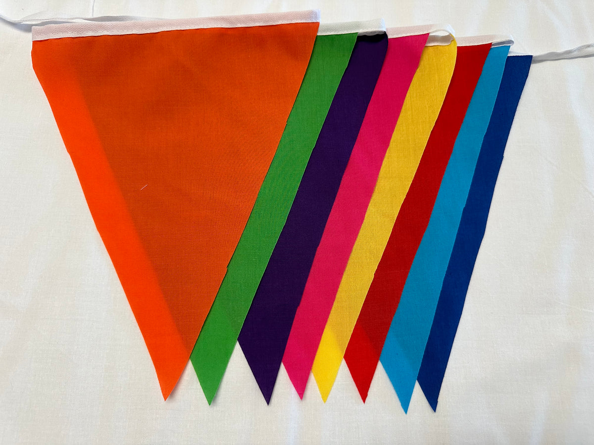 Basic Bunting Bright Colorful Flags
