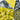 Mix of Designs Ochre Grey & Black Digital Print Fat Quarter Bundle 100% Cotton