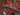 Close-up of bright red poppies digital print on soft 100% cotton fabric with green background.