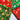 Christmas Mix Fat Quarter Bundle Poly Cotton