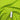 Stars 8mm White on a Lime Background 100% Cotton