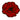 Poppy Patch Iron On or Sew on Embroidered Fabric Motif