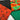 Bright Poppies & Plain Mix Fat Quarter Bundle 100% Cotton