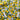 White Farm Cottage By Beth Albert for 3 Wishes Trailing Lemons 100% Premium Cotton