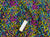 Heart Scribbles Multi Color on Black 100% Cotton Digitally Printed