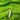 Textured Blenders White Spot on a Lime Background 100% Cotton
