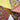 Retro Floral Butterflies & Gingham Mix Fat Quarter Bundle Poly Cotton