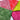 Bright Mix Textured Leaf Blender Fat Quarter Bundle 100% Cotton