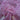 Berry Nice By P&B Textiles White & Pink on a Candy Pink Background 100% Cotton