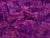 Quilting Treasures Vine Fushia Pink & Purple Mix 100% Cotton