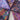 Eclectica by Dan Morris Quilting Treasures Violet Fat Quarter Bundle 100% Premium Cotton