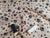 Dog Paws & Bones Black on a Camel Background Poly Cotton