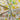 Easter Collection Fat Quarter Bundle 100% Cotton