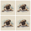 Special Offer! 4 Pug Cushion Panels for £6