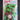 Prym 12mm Plastic Snaps Assorted Colors - The Little Fabric Shop