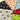 Life Size Bee Designs 3 Fat Quarter Bundle Digitally Printed 100% Cotton